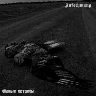 Aufschwung - Чёрные Ястребы [EP] (2010)