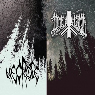 Necrose & Morte Slough - Split (2015)