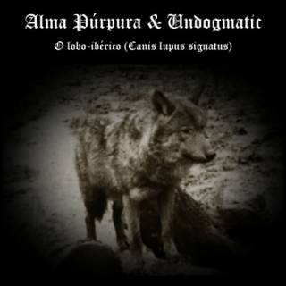 Alma Púrpura - O Lobo-Ibérico (Canis Lupus Signatus) [EP] (2014)