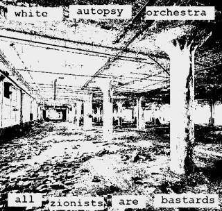 White Autopsy Orchestra & A.Z.A.B. - Raped In Decay (2014)