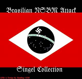 VA Brasilian NSBM Attack - Singel Collection (2010)