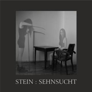 Stein - Sehnsucht (2013)