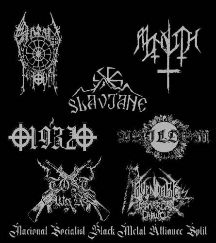 VA - NS Black Metal Alliance Split (2020)