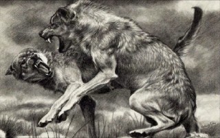 Legion Of Wolves & Wolfshof - Split [Split] (2012)