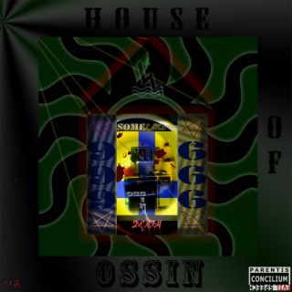 Ossin - House Of Ossin (2013)