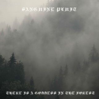 Sanguine Pluit - There Is A Goddess In The Forest (2014)