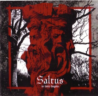Saltus - W Imię Bogów [Compilation] (2015)