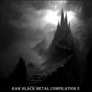 VA - Raw Black Metal Compilation 2 (2016)