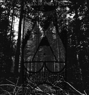 Anakronistisk - Tempus Hostilis [EP] (2017)