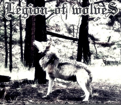 Legion Of Wolves - In A Fury Of Armageddon [Single] (2012)