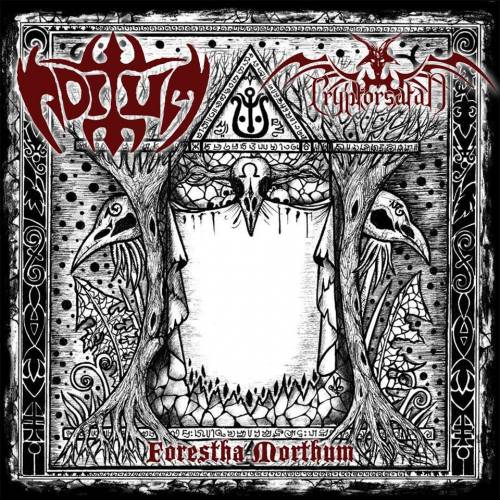 Noctum & Cryptorsatan - Forestha Morthum [Split] (2013)