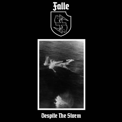 Falle - Despite The Storm [Demo] (2019)