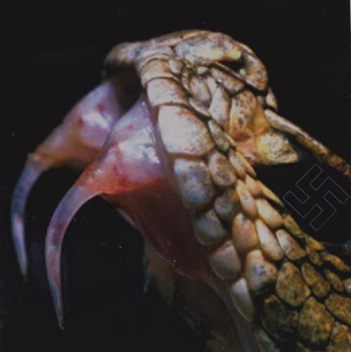 Reptile Womb - Excretory Dæmonolatreia (2019)